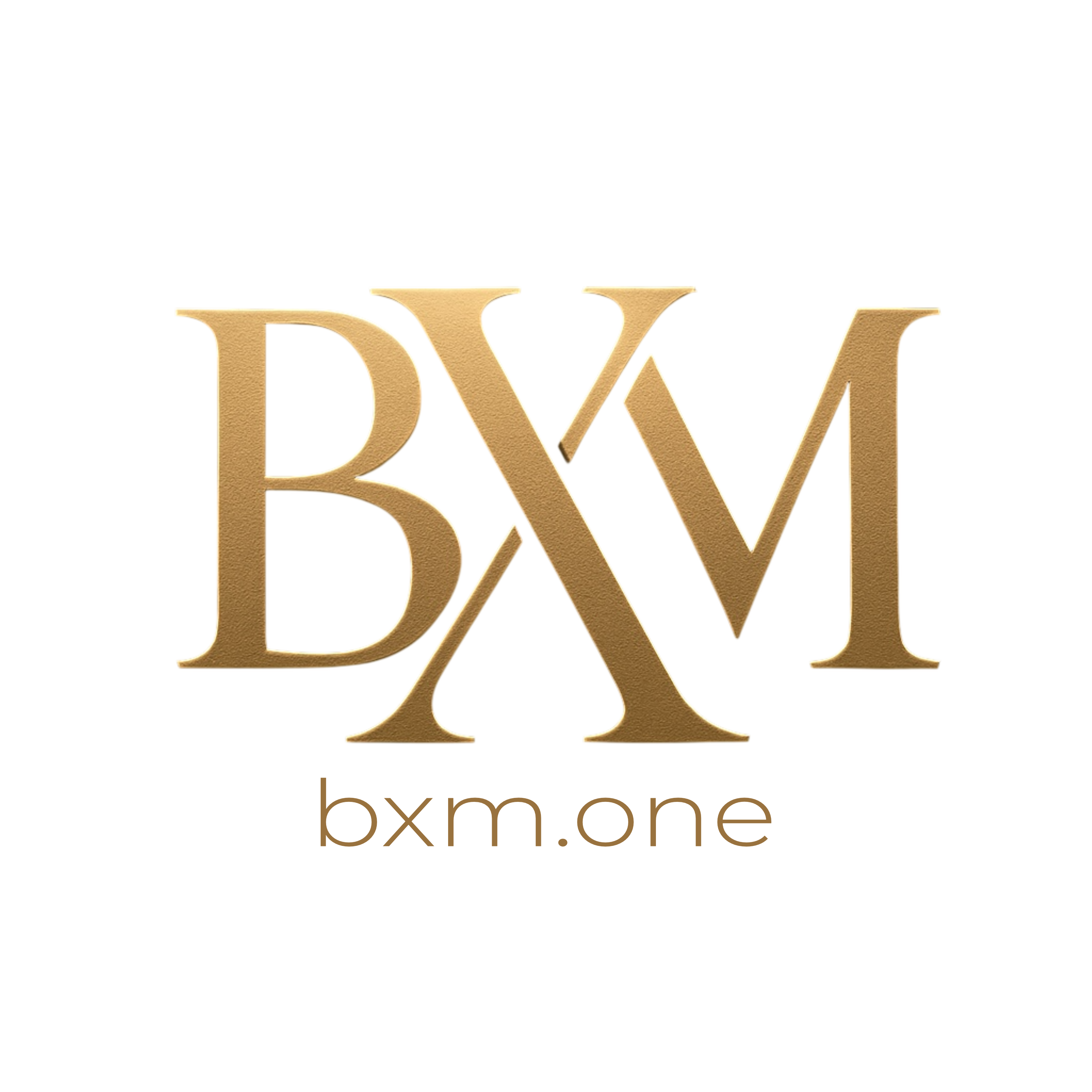 bxm.one Logo